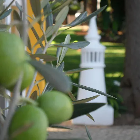 Quinta Paraiso Da Mia-tastefully Decorated T1 Praia Da Luz
