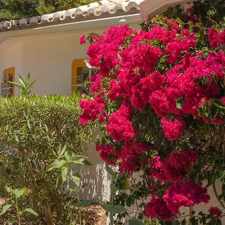 Quinta Paraiso Da Mia-tastefully Decorated T1 *